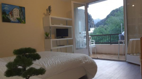 Room in Studio - Amelie les Bains studio spa treatment